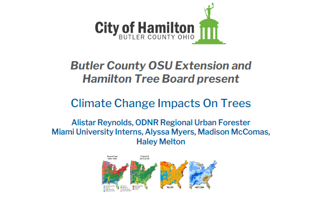 Climate Impacts on Trees